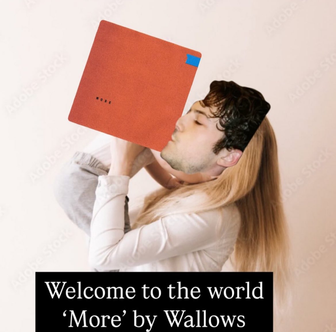 Grace 🦋- SAW WALLOWS AGAIN tweet media