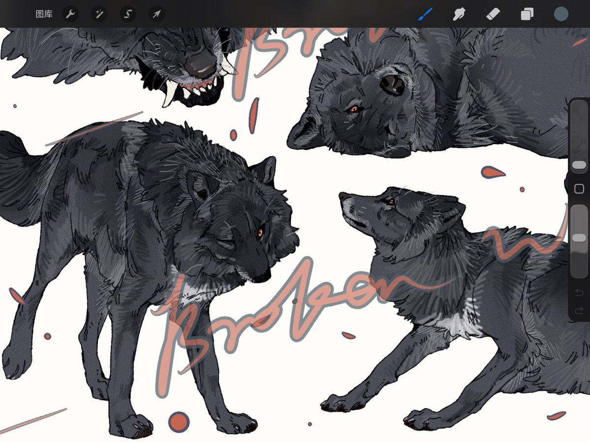 Brokenwingyl翼落 tweet media