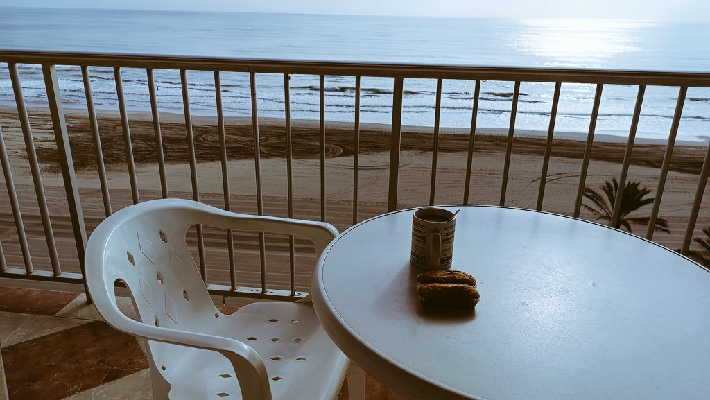 🕷️🕷️🕷️ tweet media