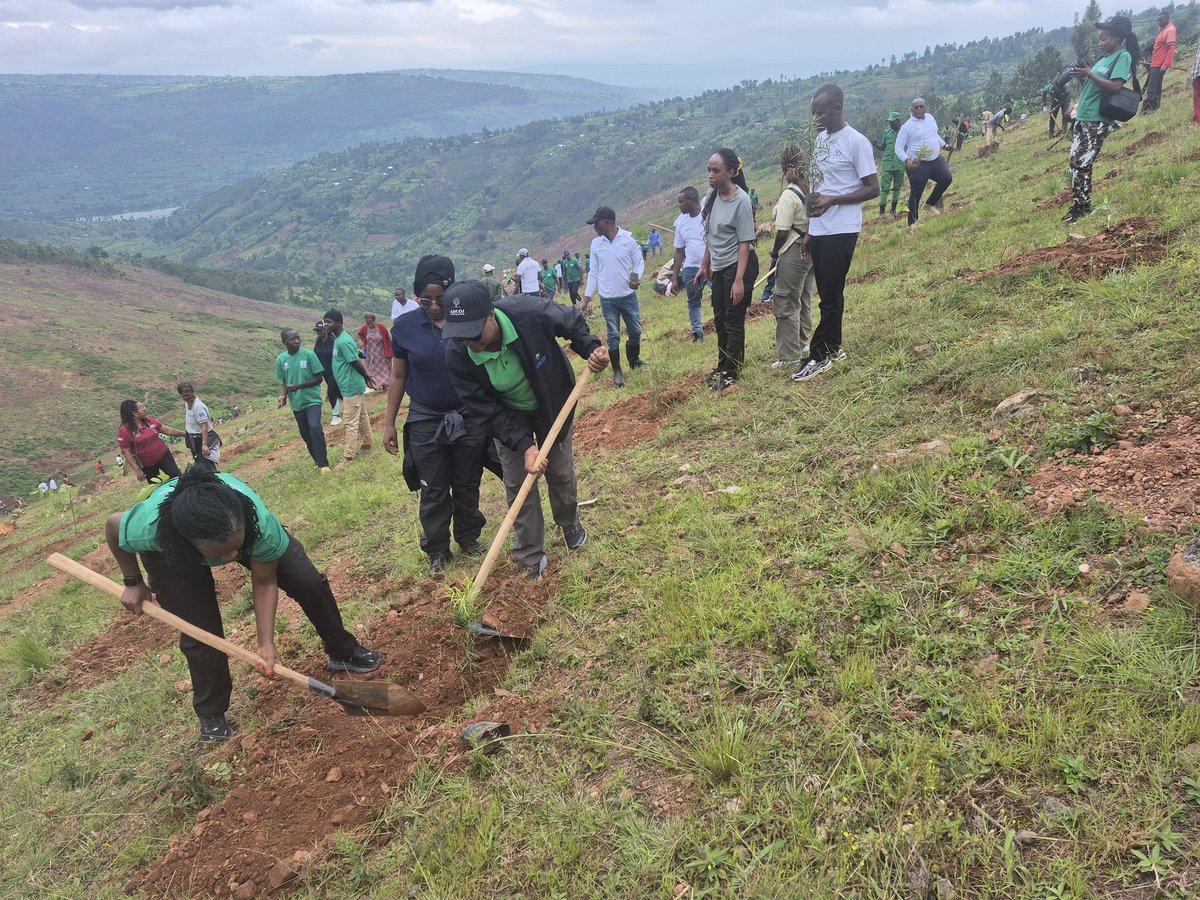 Gasabo District tweet media