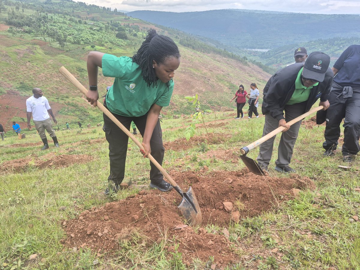 Gasabo District tweet media