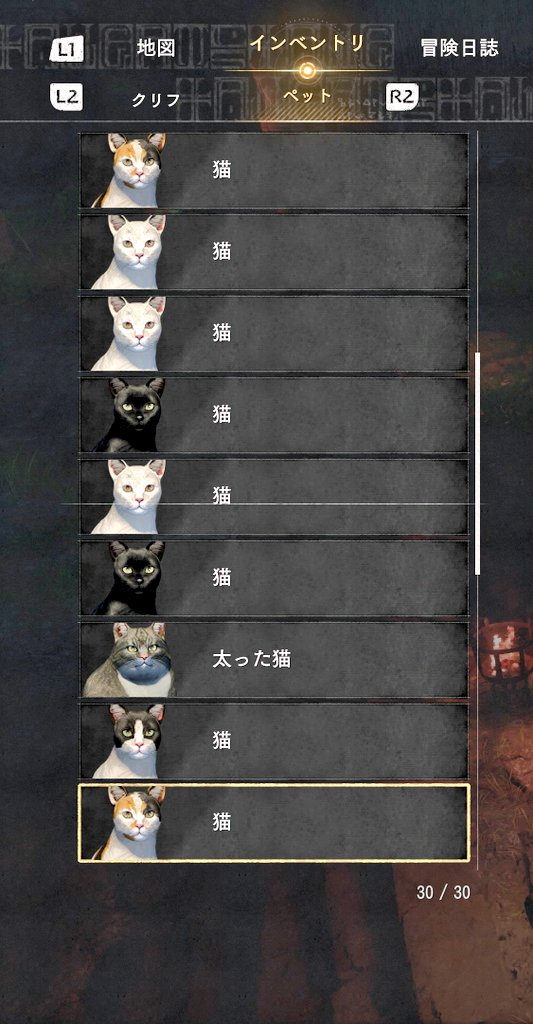 パノス ゲーム＆猫 tweet media