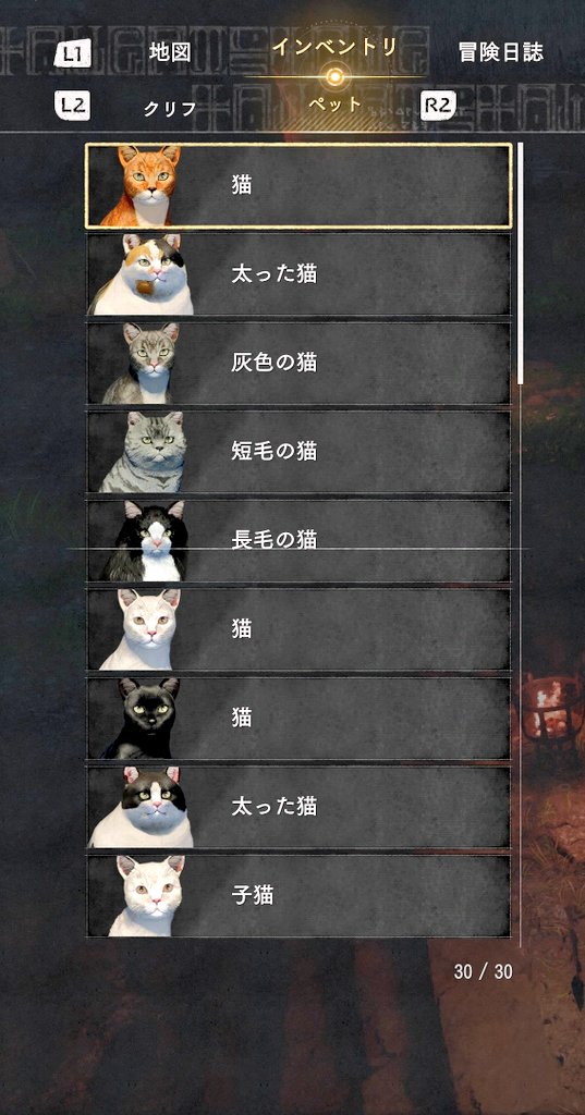 パノス ゲーム＆猫 tweet media