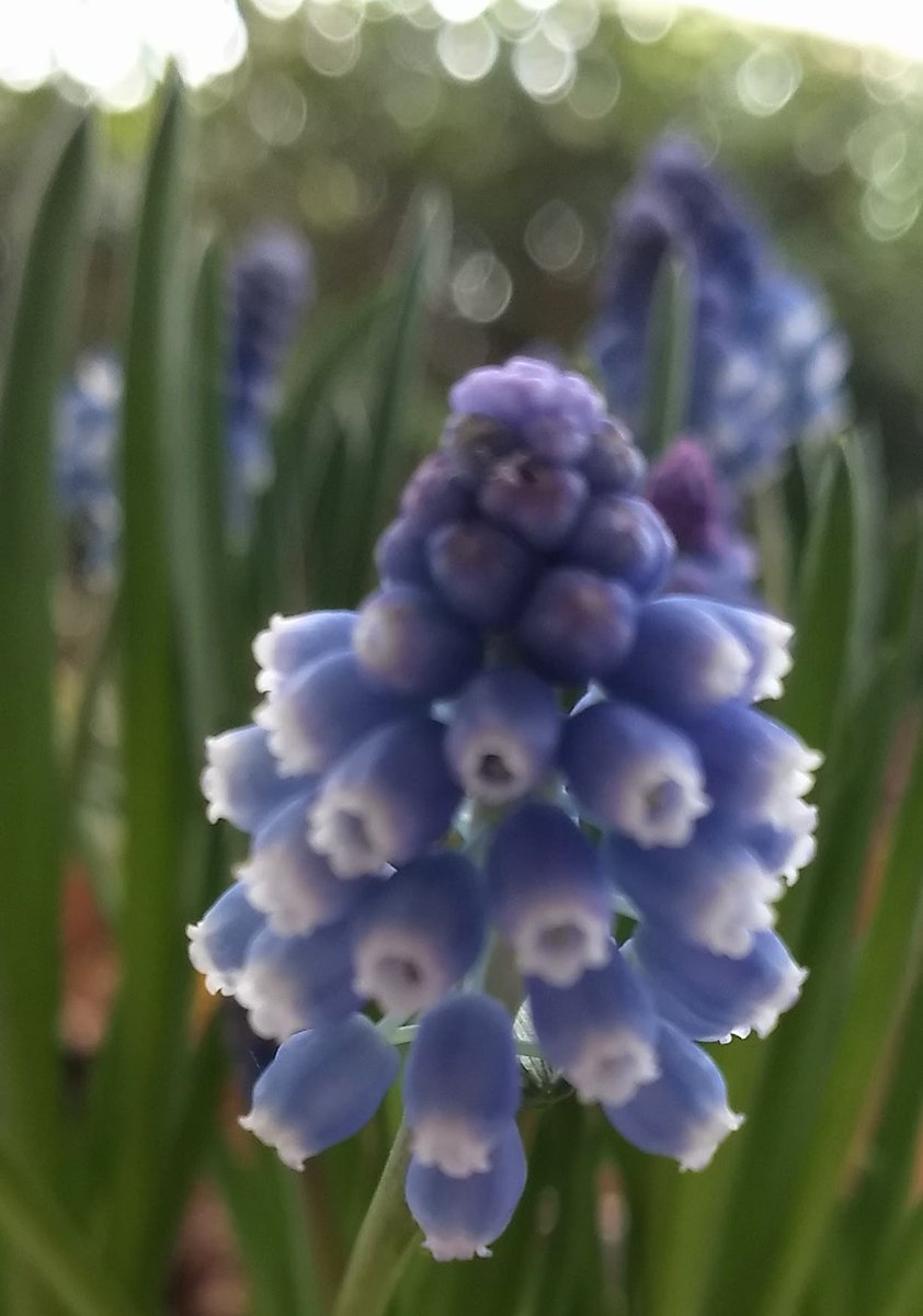 chocolat 🍫🍊 tweet media