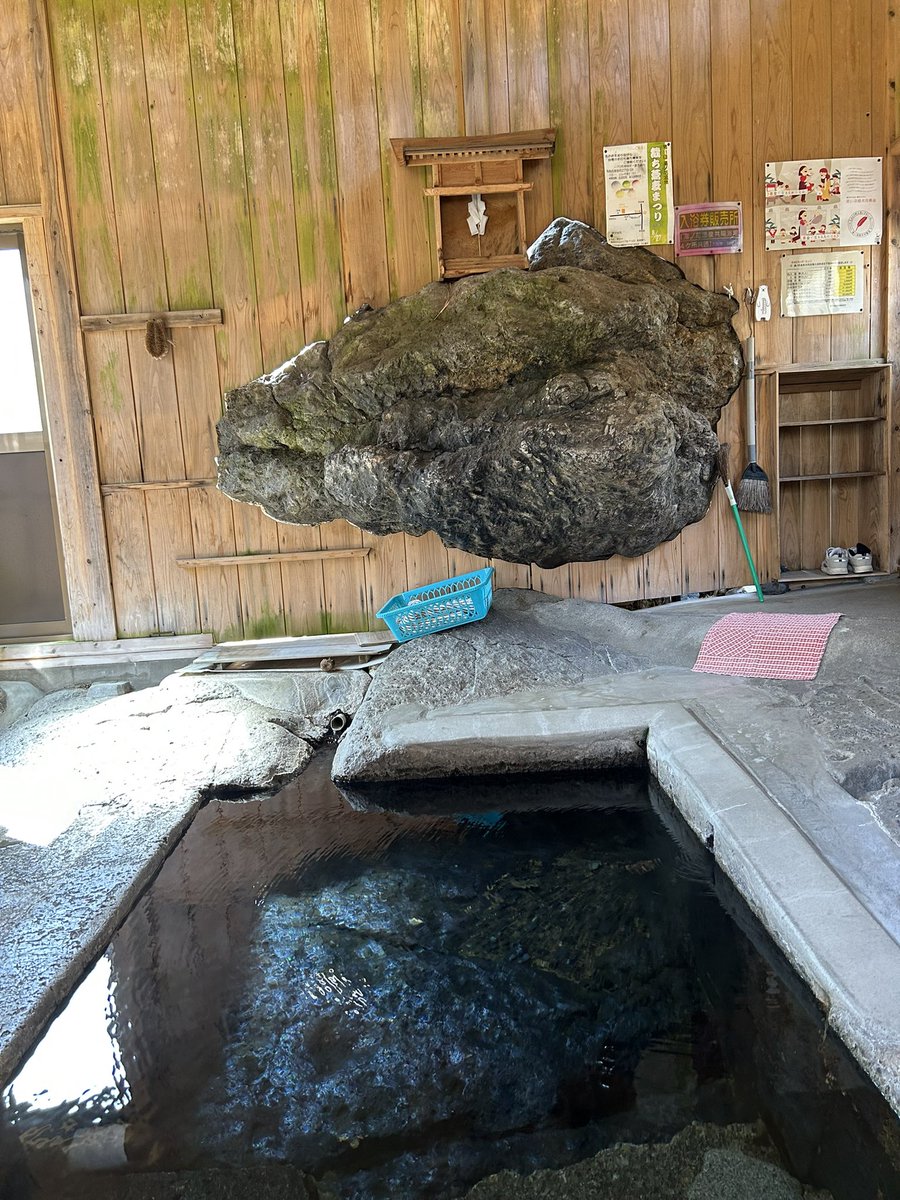 ミー(ミー＆ヤマト) tweet media