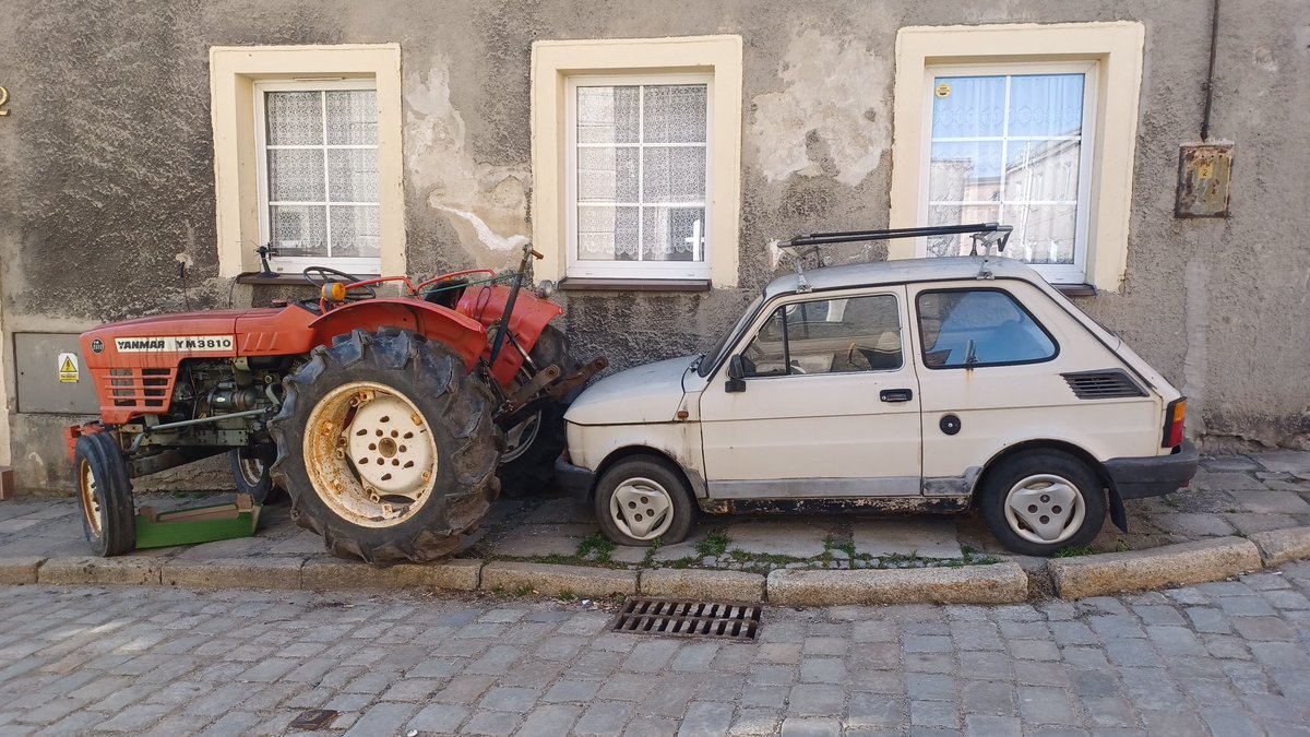 Maciejewicz tweet media