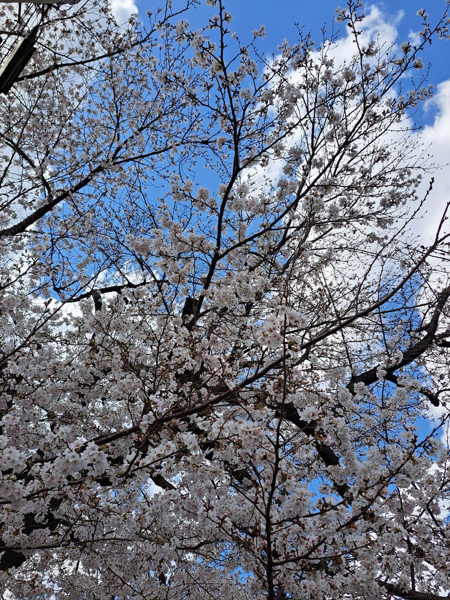 宇野仁美 tweet media