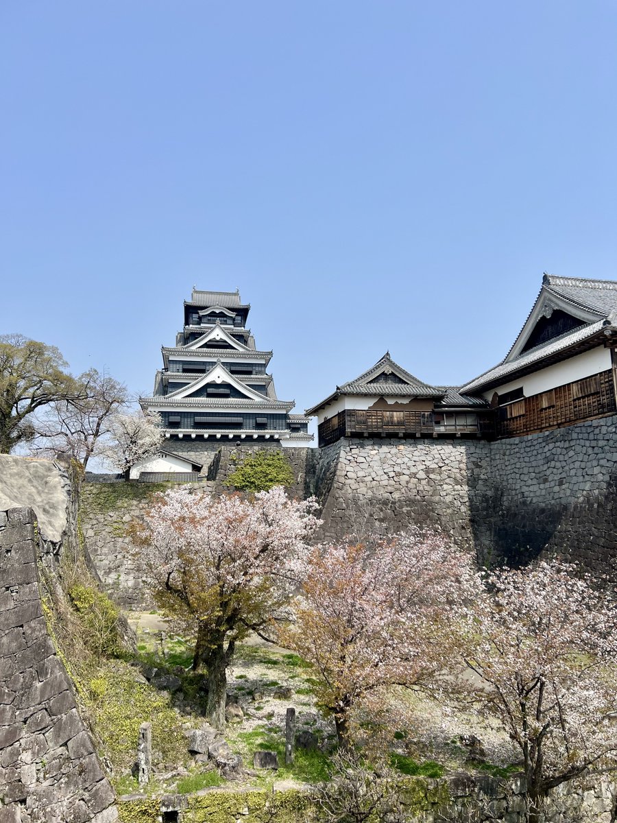 とらまる tweet media