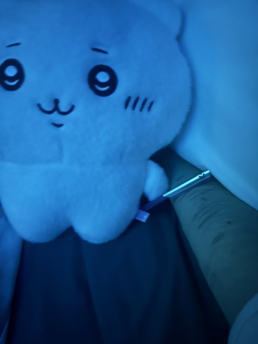 bailey #shedtwt tweet media