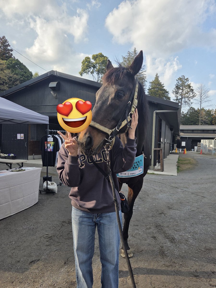 あゆみかん tweet media