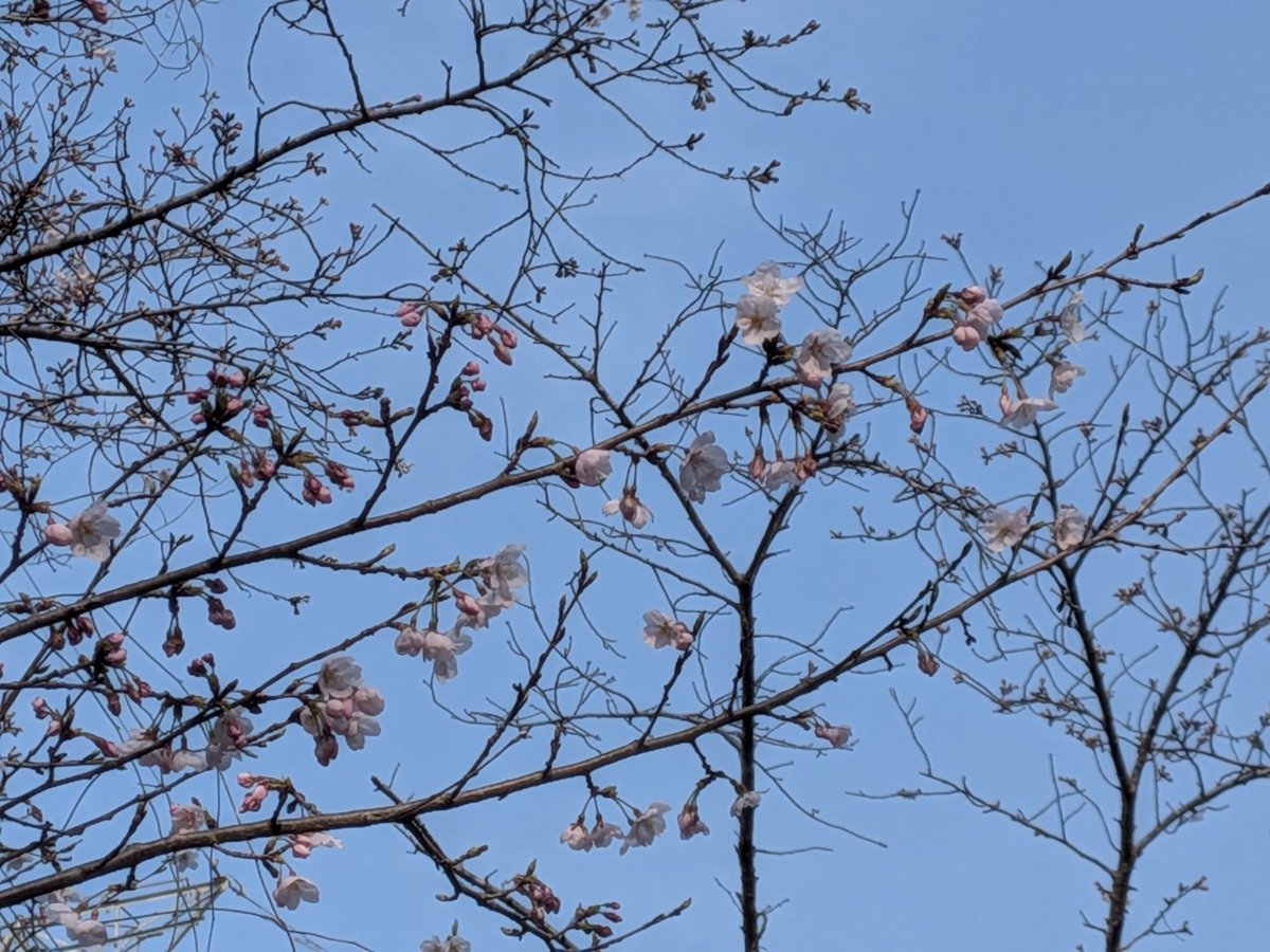 kraba☁ tweet media