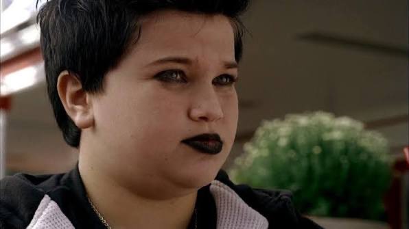 Red Panda Koala tweet media