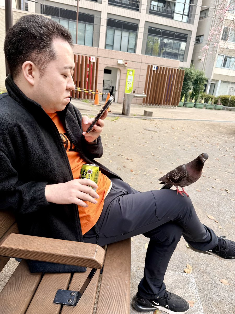 rei.reikaVRC tweet media