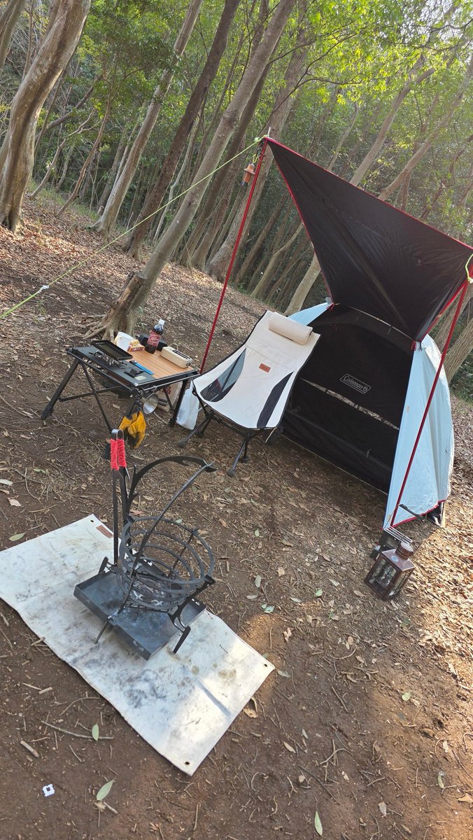 イルー死ブ のら tweet media