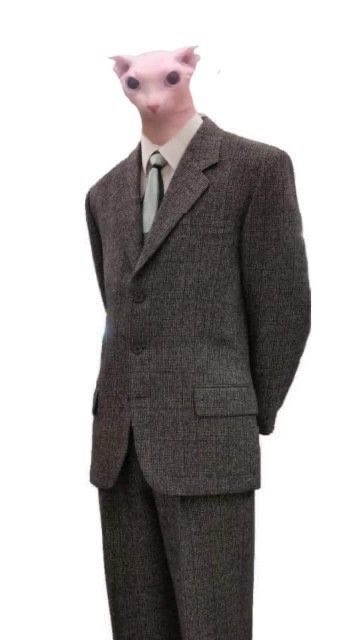 fattie mcfatten of shedtwt ™ tweet media