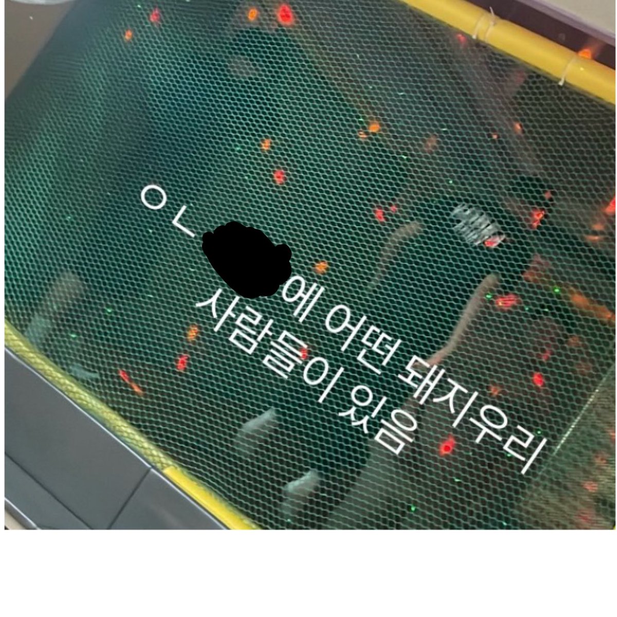 리냐 Й tweet media