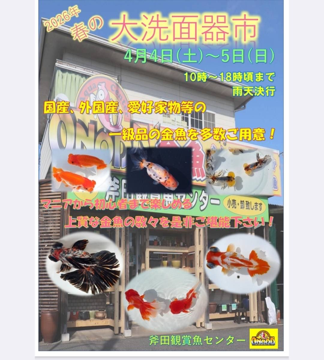 [大洗面器市]のお知らせです👌

4/4,5の2日間開催されます😆

国産、外産、愛好家産の上物金魚から定番品種まで⁉️
を販売予定です‼️

皆様のご来店お待ちしております🙇

#斧田観賞魚センター #金魚 #大洗面器市 #洗面器市 #セール