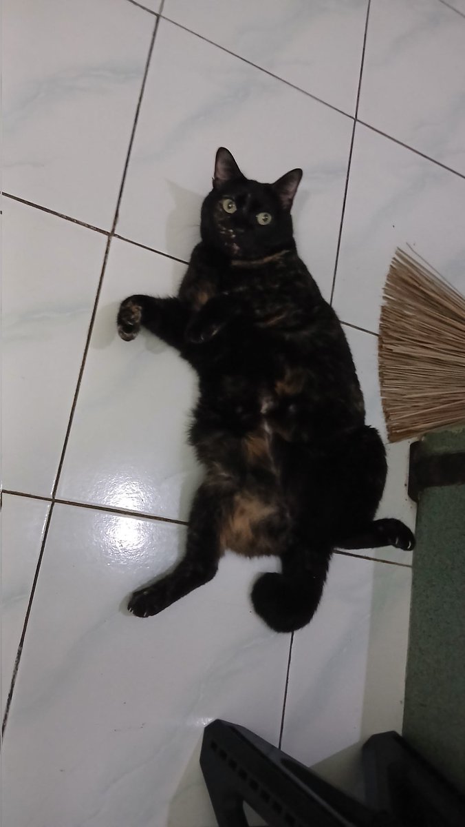 bude nanas tweet media