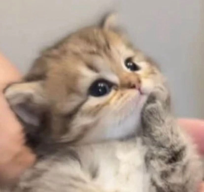 ‎𐙚nyaaa tweet media