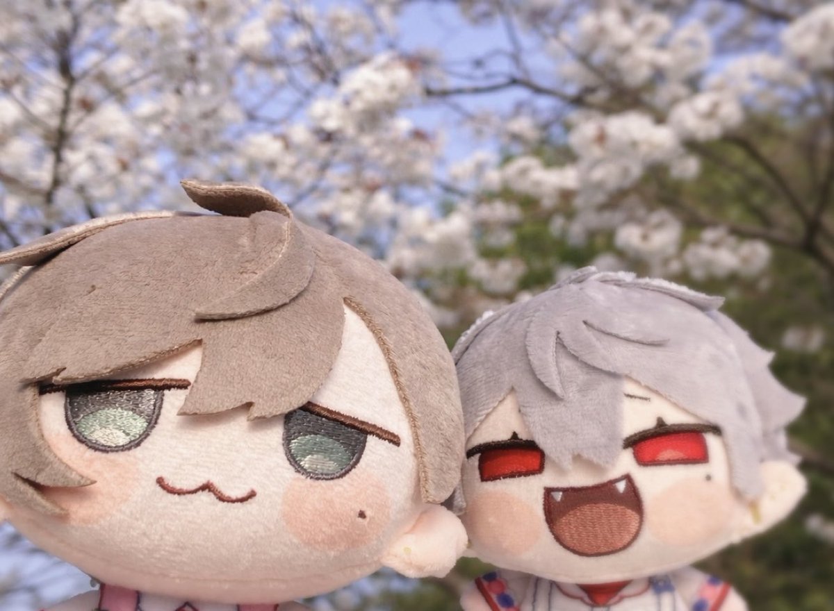 かすみん tweet media