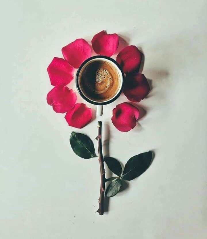 Antonio Gracias tweet media