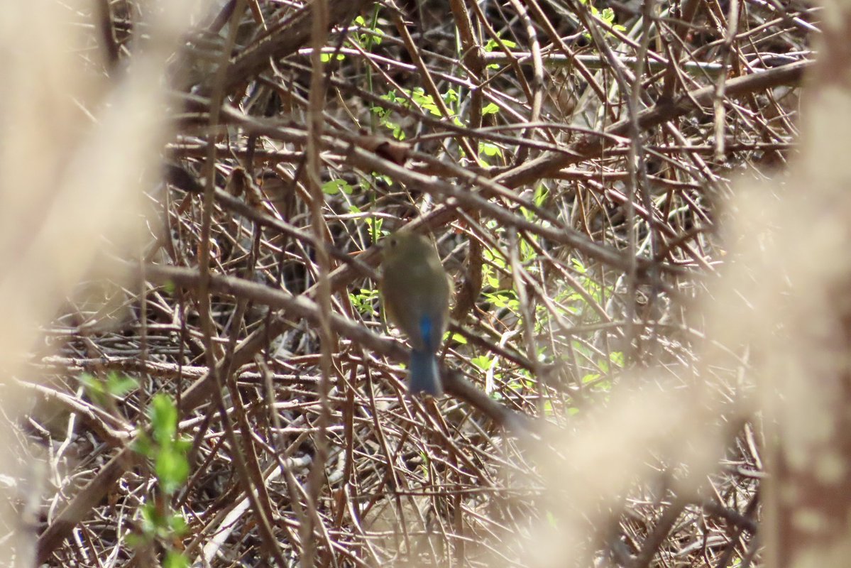 계정잃은낌봄보 tweet media