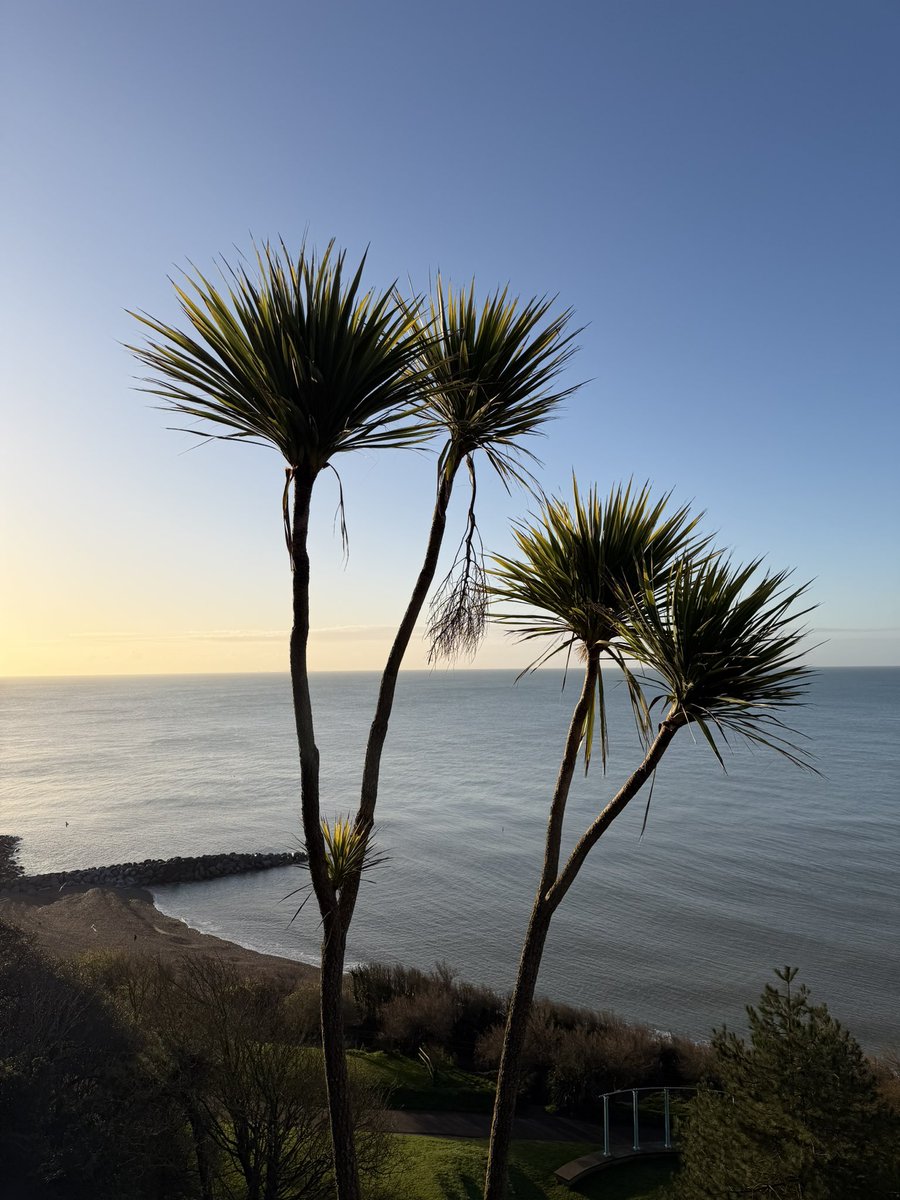DollyHPN's tweet image. Love where you live 🌊🧜‍♀️✨

#Folkestone #ByTheSea