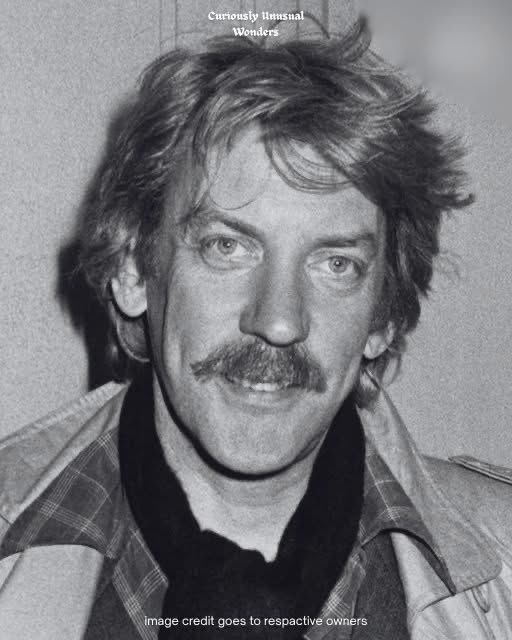 Mr PitBull tweet media