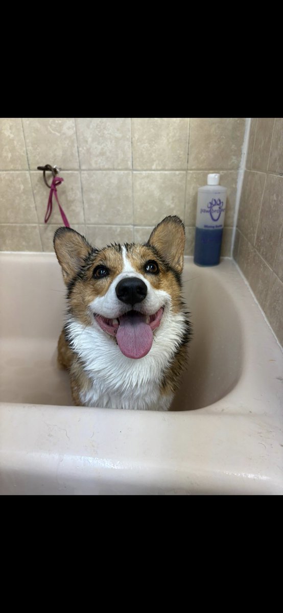 💧Light💧 tweet media