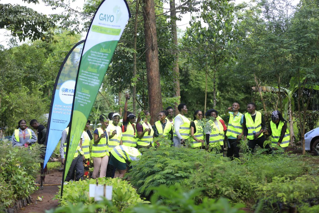 Green Africa Youth Organization (GAYO Uganda) tweet media