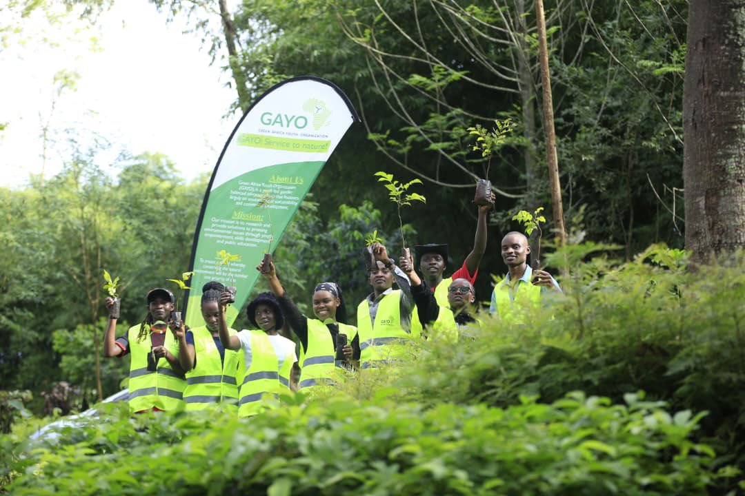 Green Africa Youth Organization (GAYO Uganda) tweet media