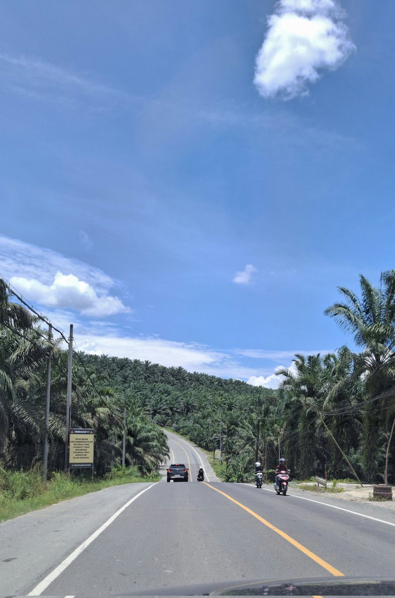 Txt Tata Kota - The Urbanist Zine tweet media