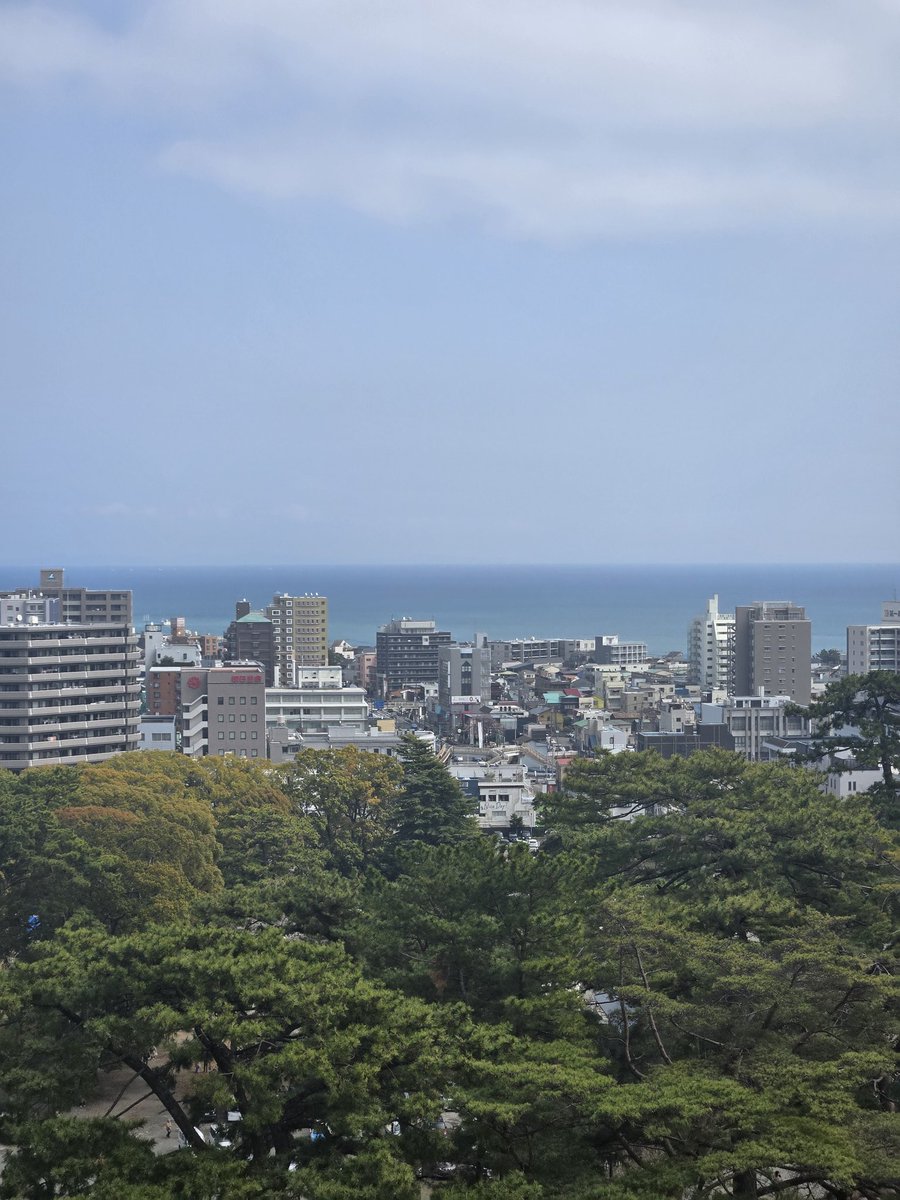 れらしー tweet media