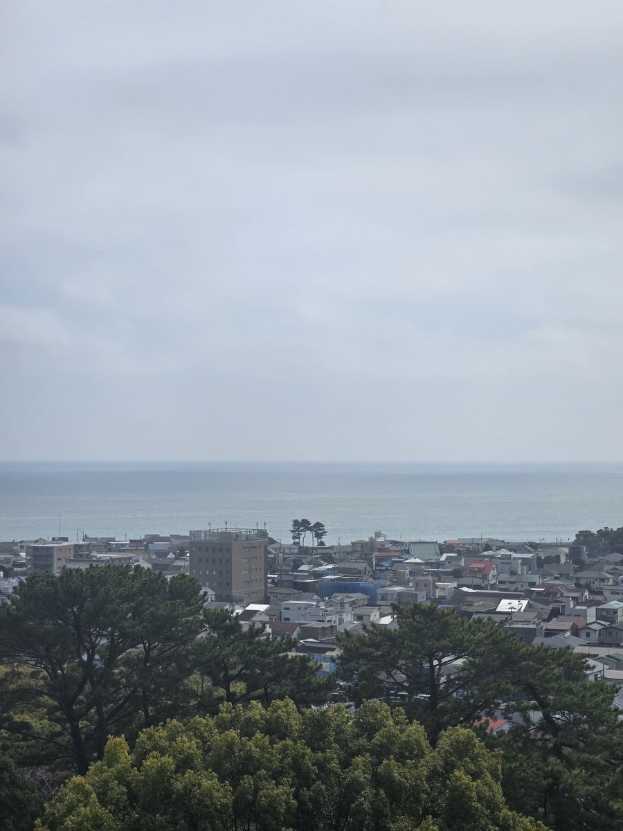 れらしー tweet media