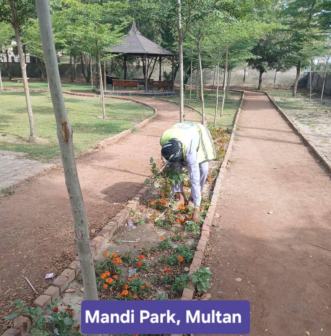 Deputy Commissioner Multan tweet media