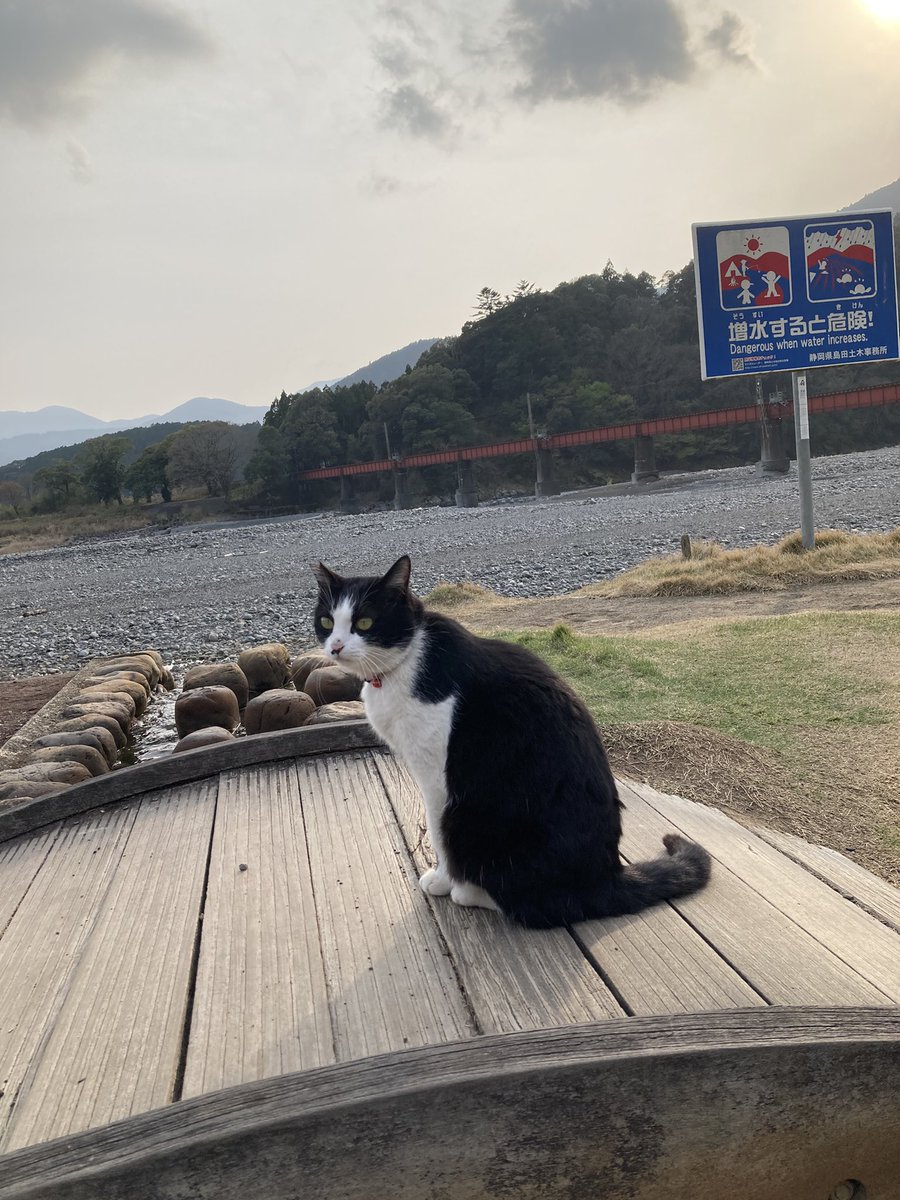 chan😊🐾 tweet media