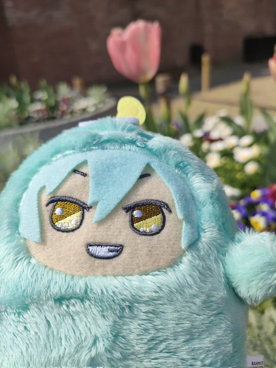 お花 (@_trash_ak) on Twitter photo 