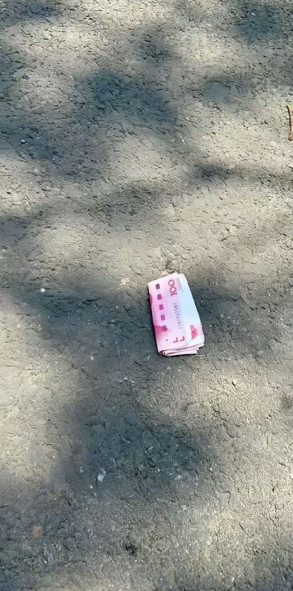 淄博叮当🐱 tweet media