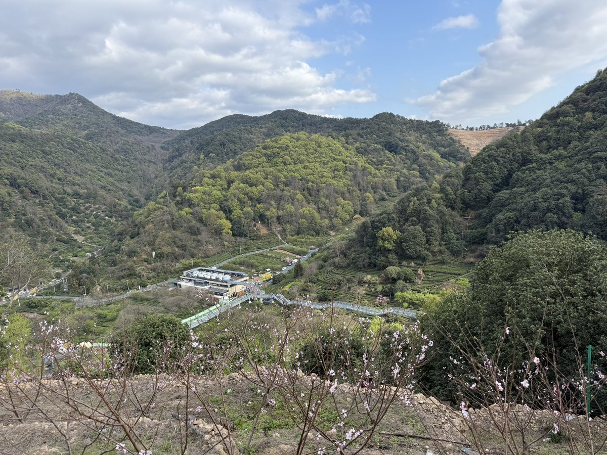 十一地主 tweet media