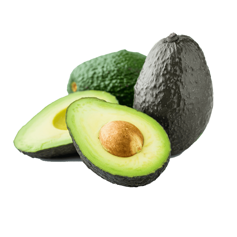 fernando colon tweet media