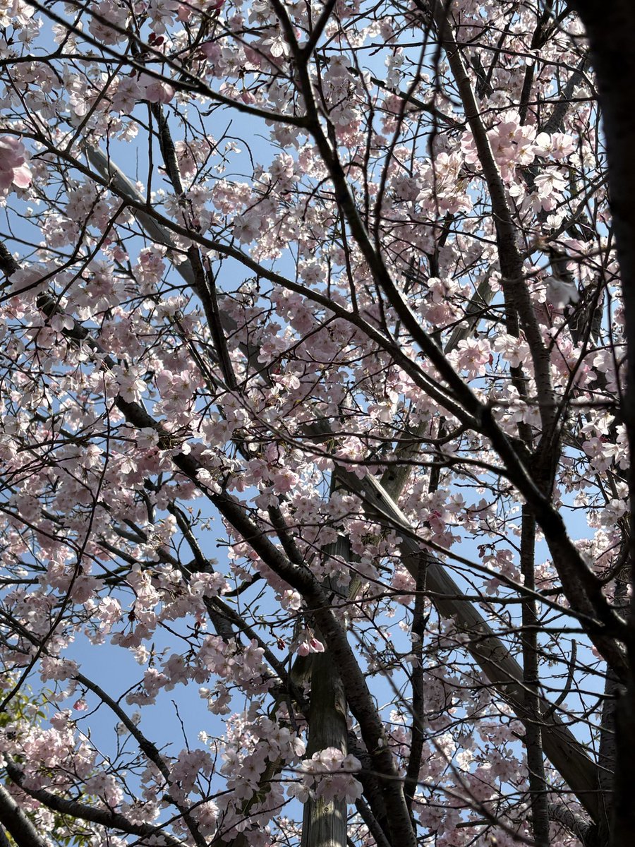 💚maybe💚 tweet media