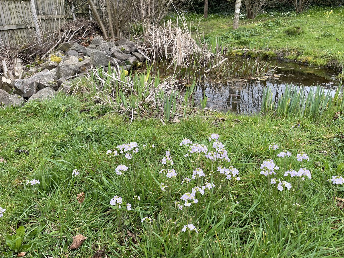 Prof Duncan Westbury tweet media