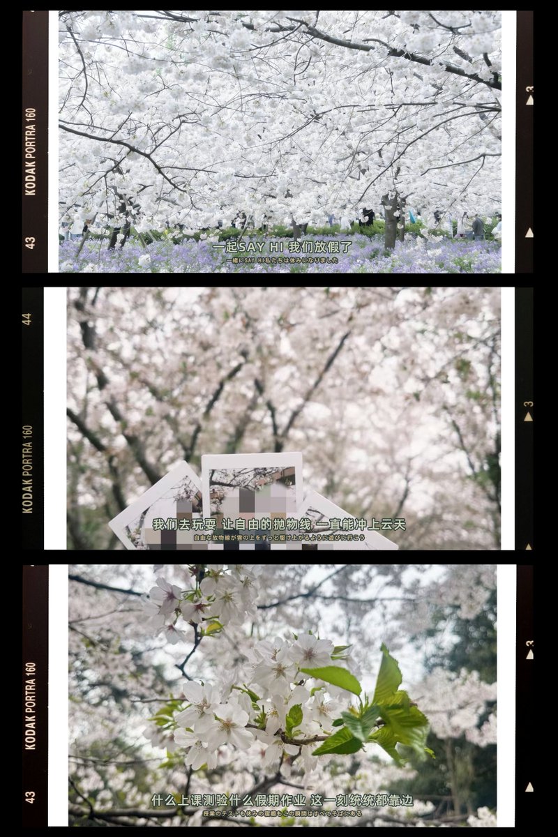 🐷 LU👀 tweet media