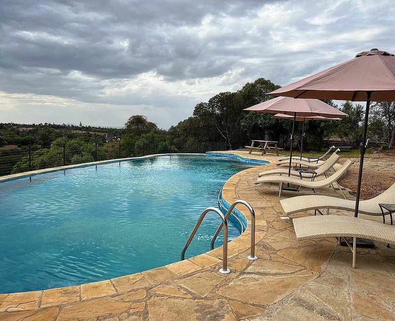 Perfect Strangers Safaris tweet media