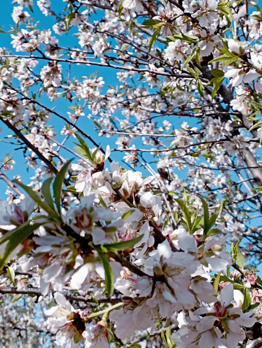 María Prieto tweet media