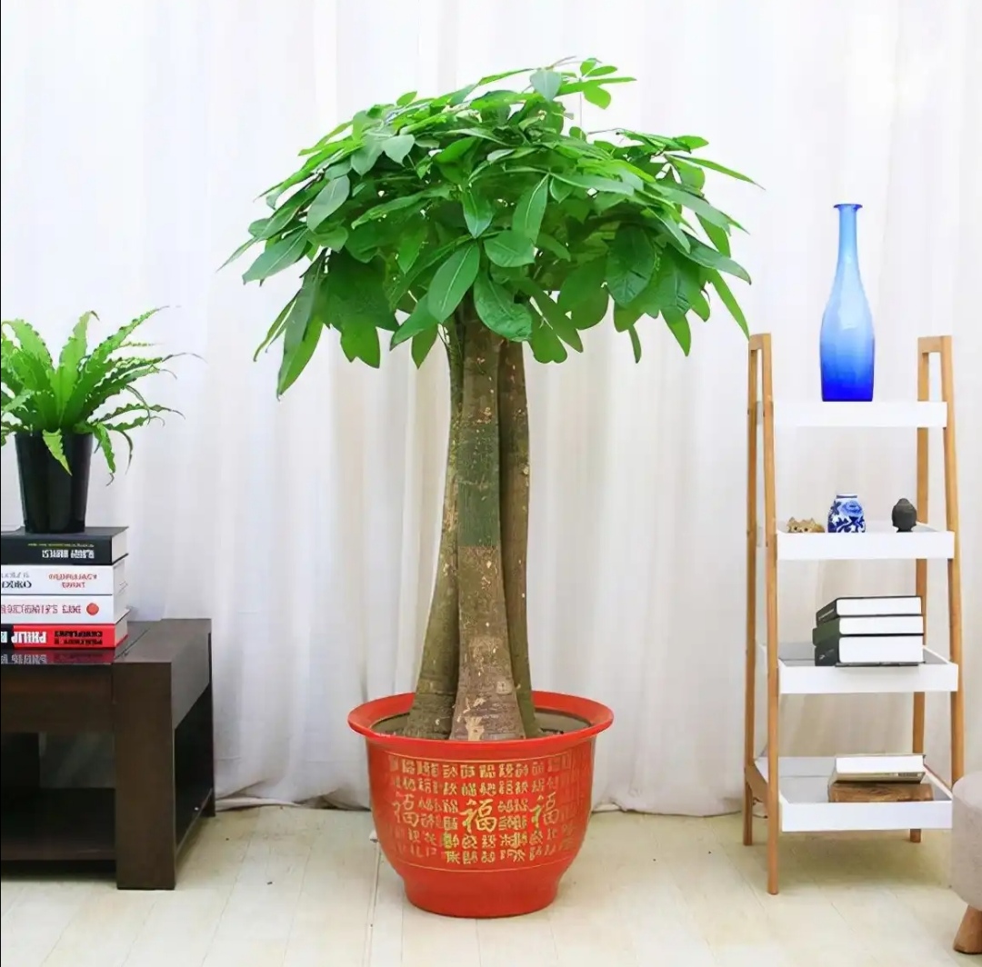 Fratiwi cute tweet media