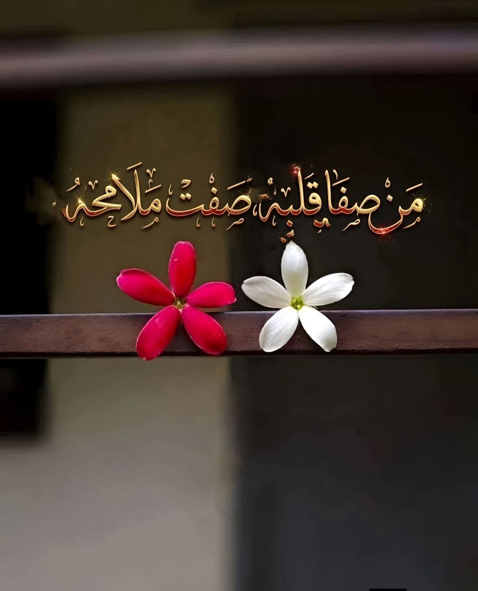 🅰🅳🅴🅻🇪🇬🆉🅴🆉🅾 tweet media