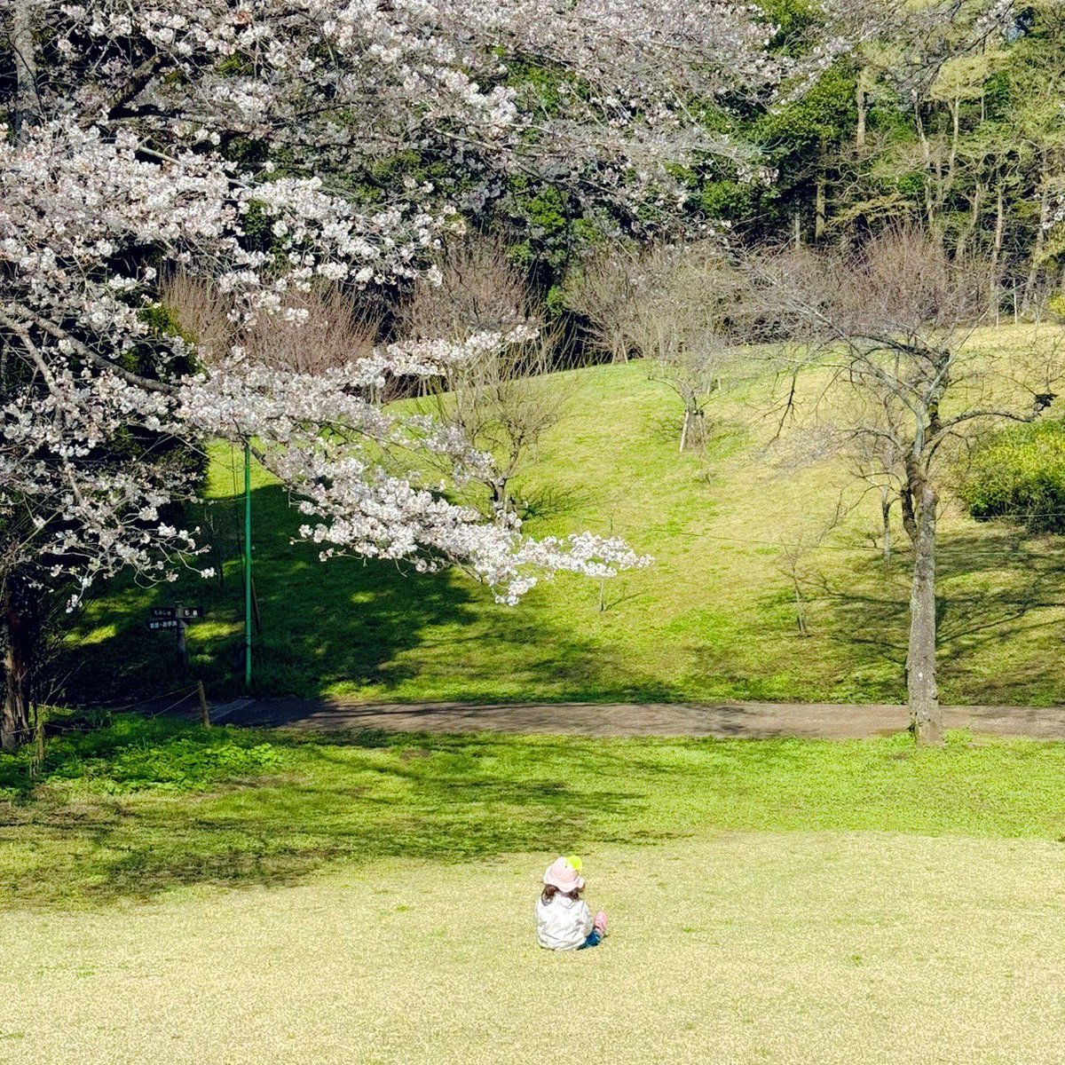 ふうこ 〜おにぎりめろんぱん〜 tweet media