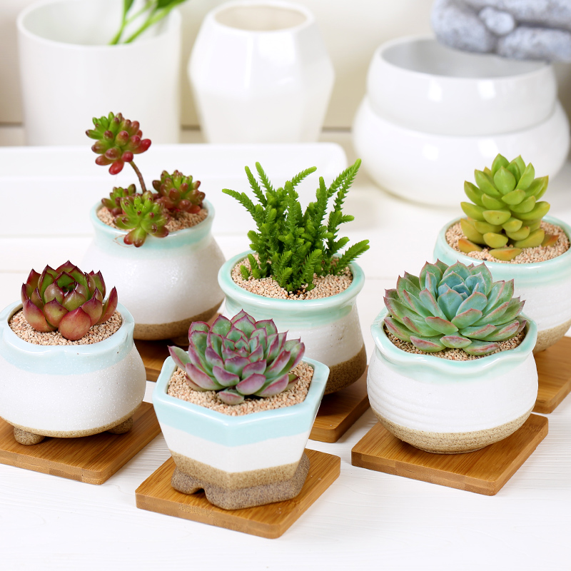 ashutosh rathi tweet media