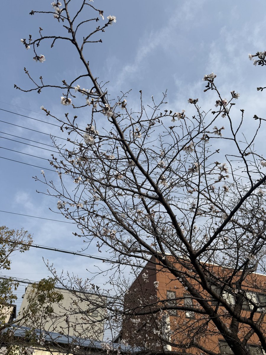 とんとん tweet media